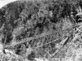Chasm Creek suspension bridge