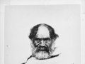 Hōri Kīngi Te Ānaua