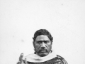 Te Ua Haumēne