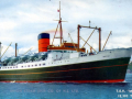Postcard of the ferry <em>Maori</em>