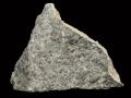 Trilobite limestone found by Malcolm Simpson