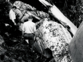 Wreckage of the National Airways Corporation DC3