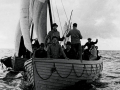 Survivors from the Niagara