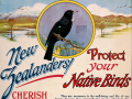New Zealand Native Bird Protection Society poster, 1920s