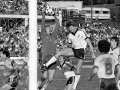 New Zealand versus Australia, 1981