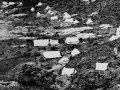 Gabriel’s Gully, 1862
