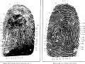 The fingerprint evidence that convicted Dennis Gunn