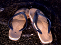Jandals
