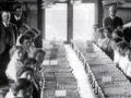 Census and Statistics Office Military Service Section, 1917