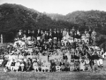 The staff picnic