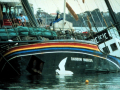 <em>Rainbow Warrior</em> after the bombing