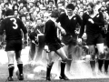 All Black prop Gary Knight is felled by a flour bomb