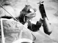 The War in the Air