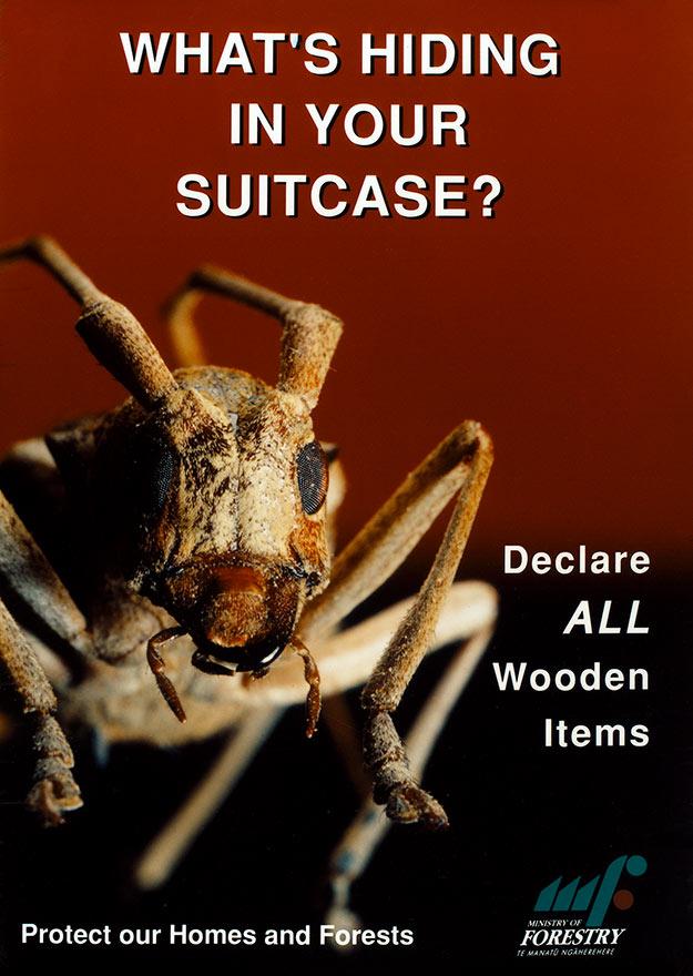Timber quarantine