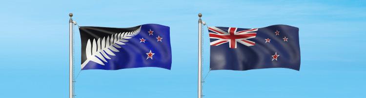 2016 flag referendum options