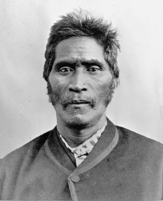 Wiremu Tāmihana Tarapīpipi Te Waharoa