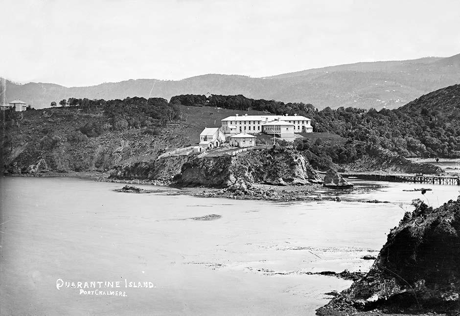 Quarantine Island, Otago Harbour