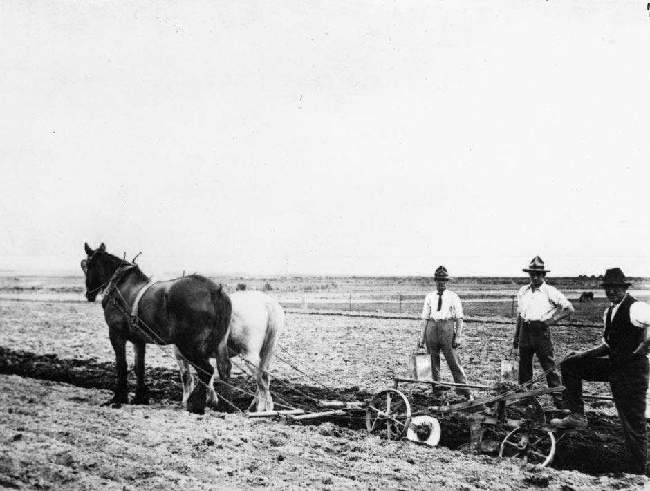 Tauherenikau training farm
