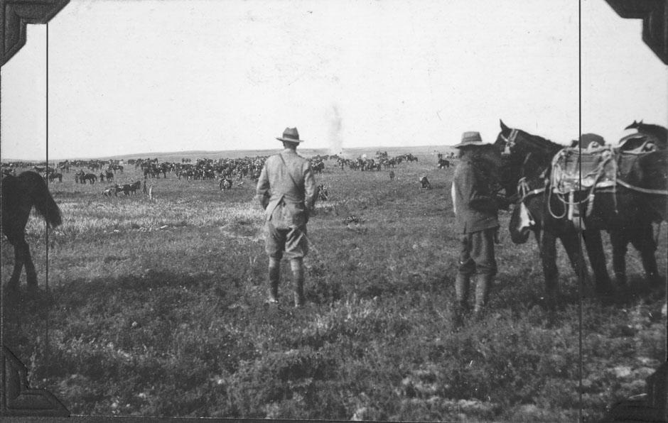 Lt-Col Findlay during Second Battle of Gaza