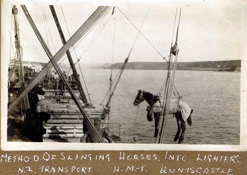 CMR troops on Gallipoli, 1918-19