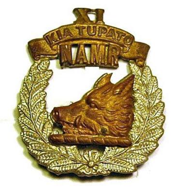11th (North Auckland) Mounted Rifles squadron