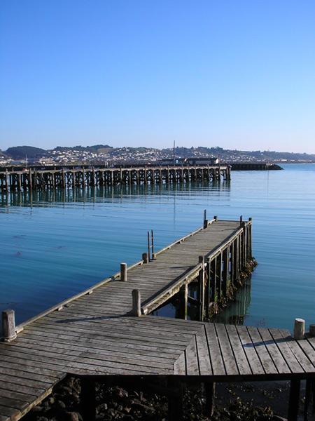 Oamaru Harbour today