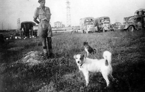 Colonel Ben, the mascot