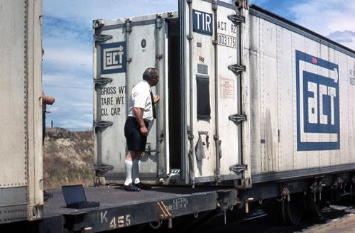 Quarantine officer checking container