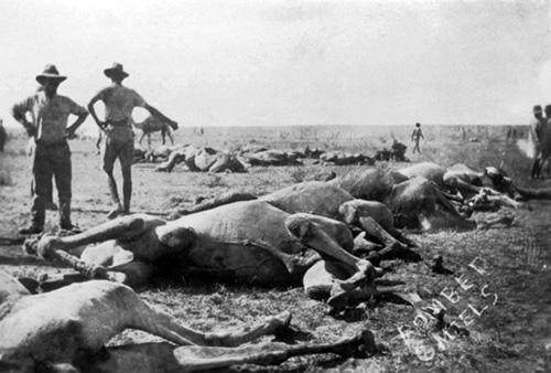 Turkish air raid on 3rd Camel Battalion at Sheikh Nuran