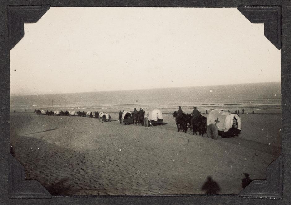 Transporting wounded from Magdhaba