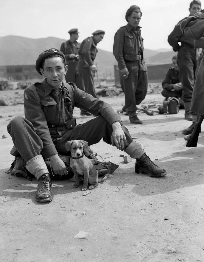 Bruno, New Zealand Army Service Corps mascot