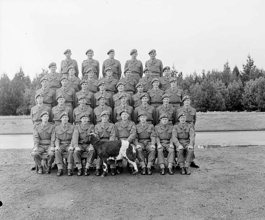 New Zealand Army Special Air Service with goat mascot