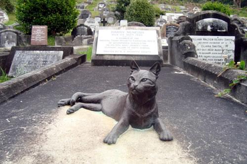 Cat on grave