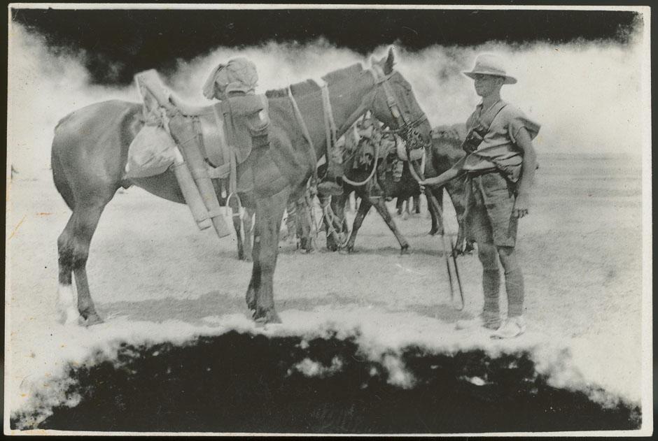 Trooper and horse