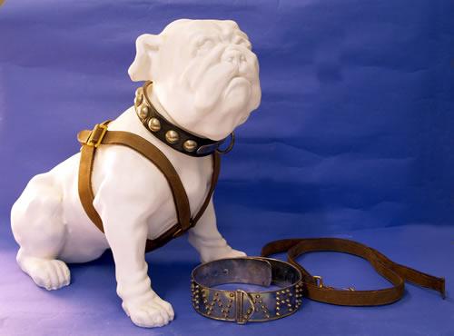 Pelorus Jack, the mascot