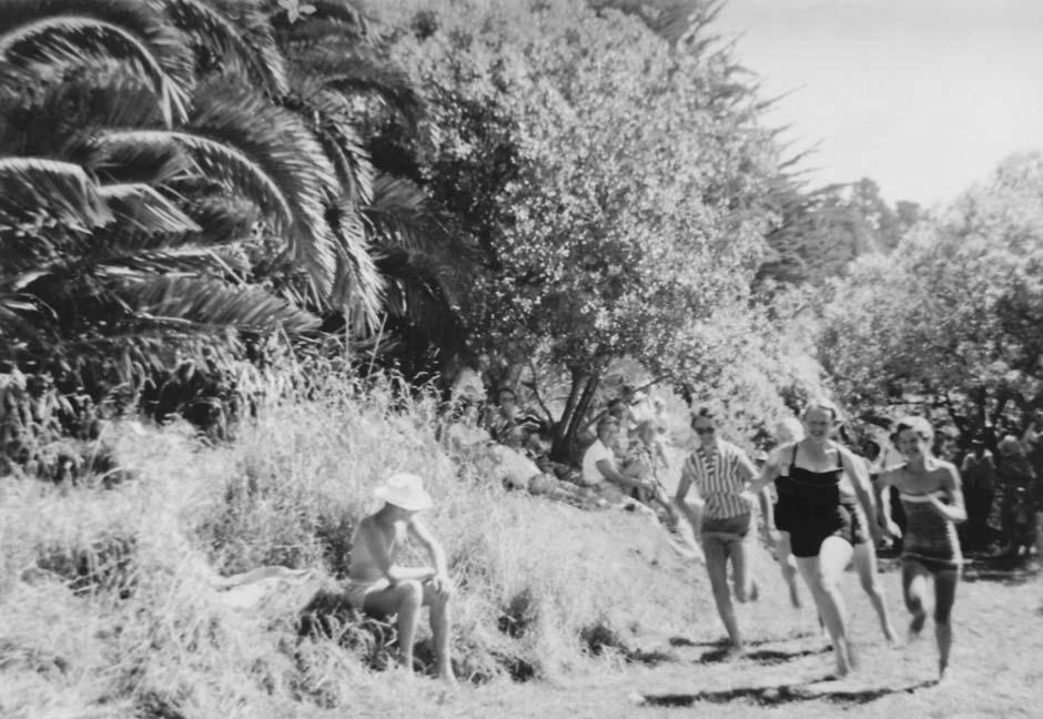 Picnic races