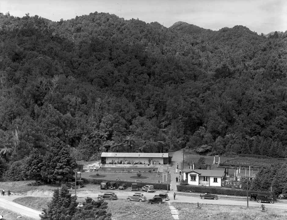 Morere Springs Scenic Reserve