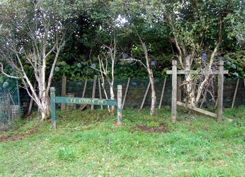 Site of Te Kohia pā