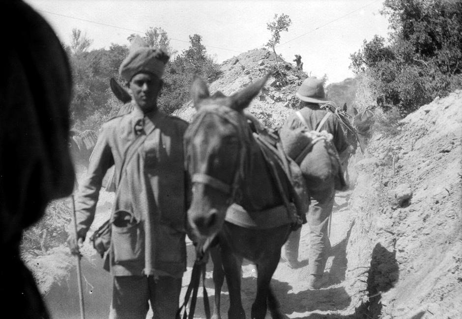 Sikh soldier with mule on Gallipoli