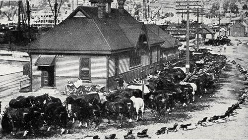 Lyttelton wharf during 1913 strike