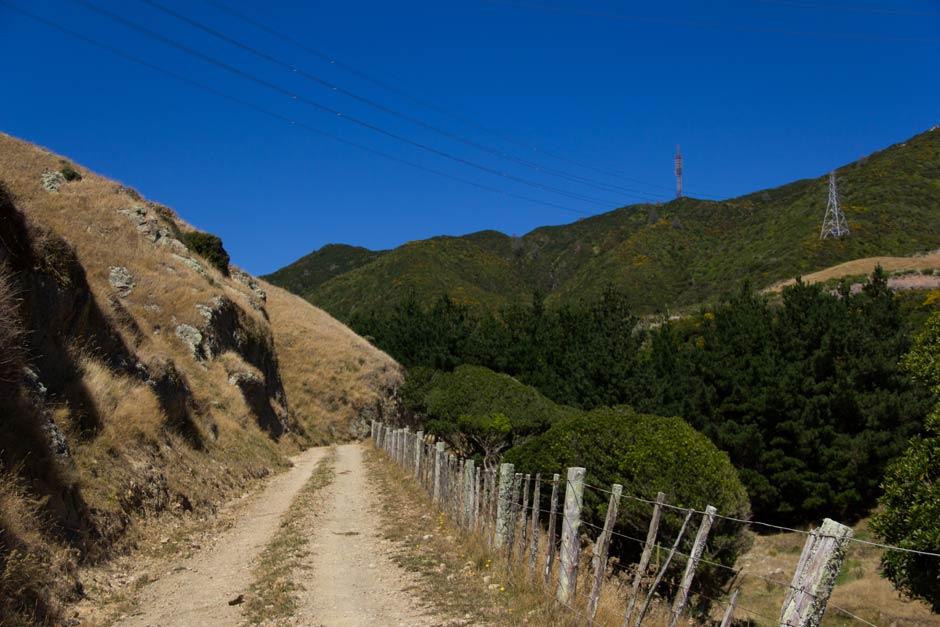 Old Coach Road