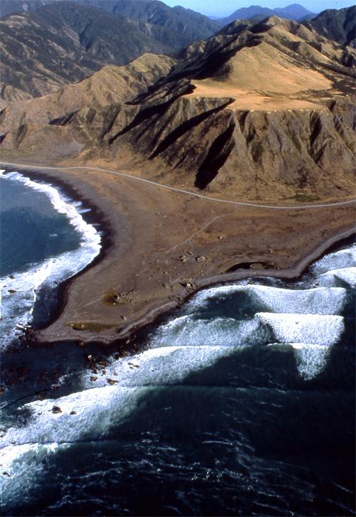 Palliser Bay