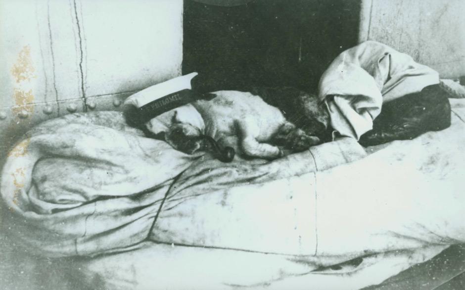 HMS <em>Philomel</em>'s mascots
