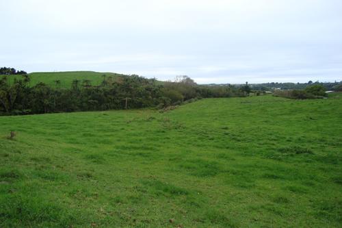 Puketakauere