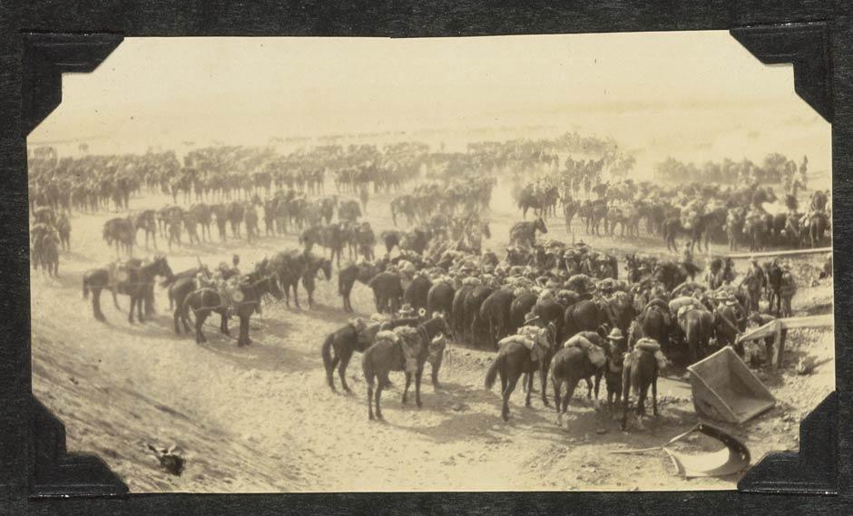 Watering horses during dust storm