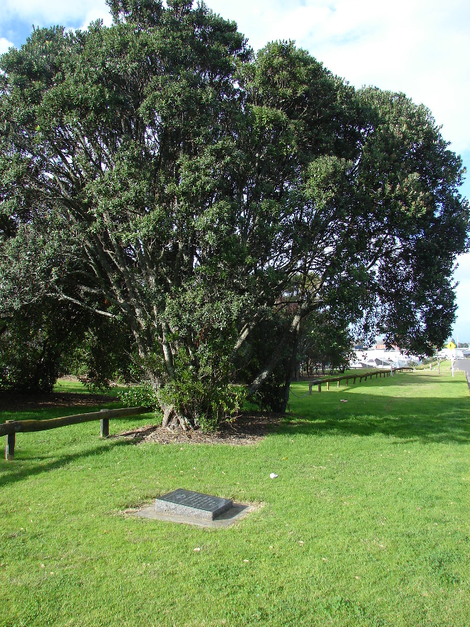 Tauranga Memorial Avenue