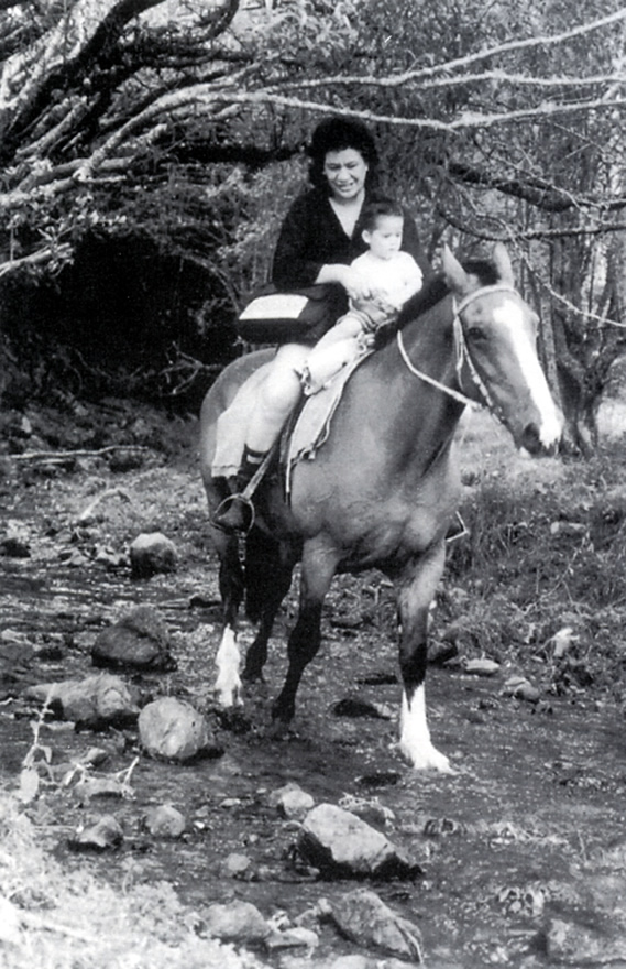 Census collecting by horse