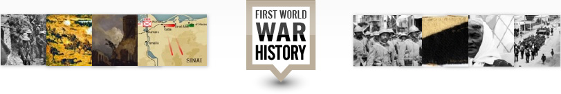 New Zealand and the First World War New Zealand and the First World War